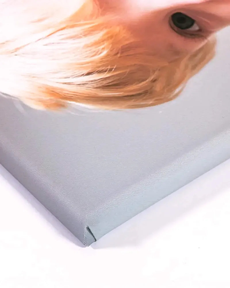 Printed Canvas