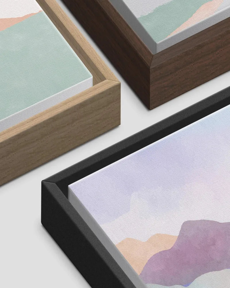 Framed Printed Canvas
